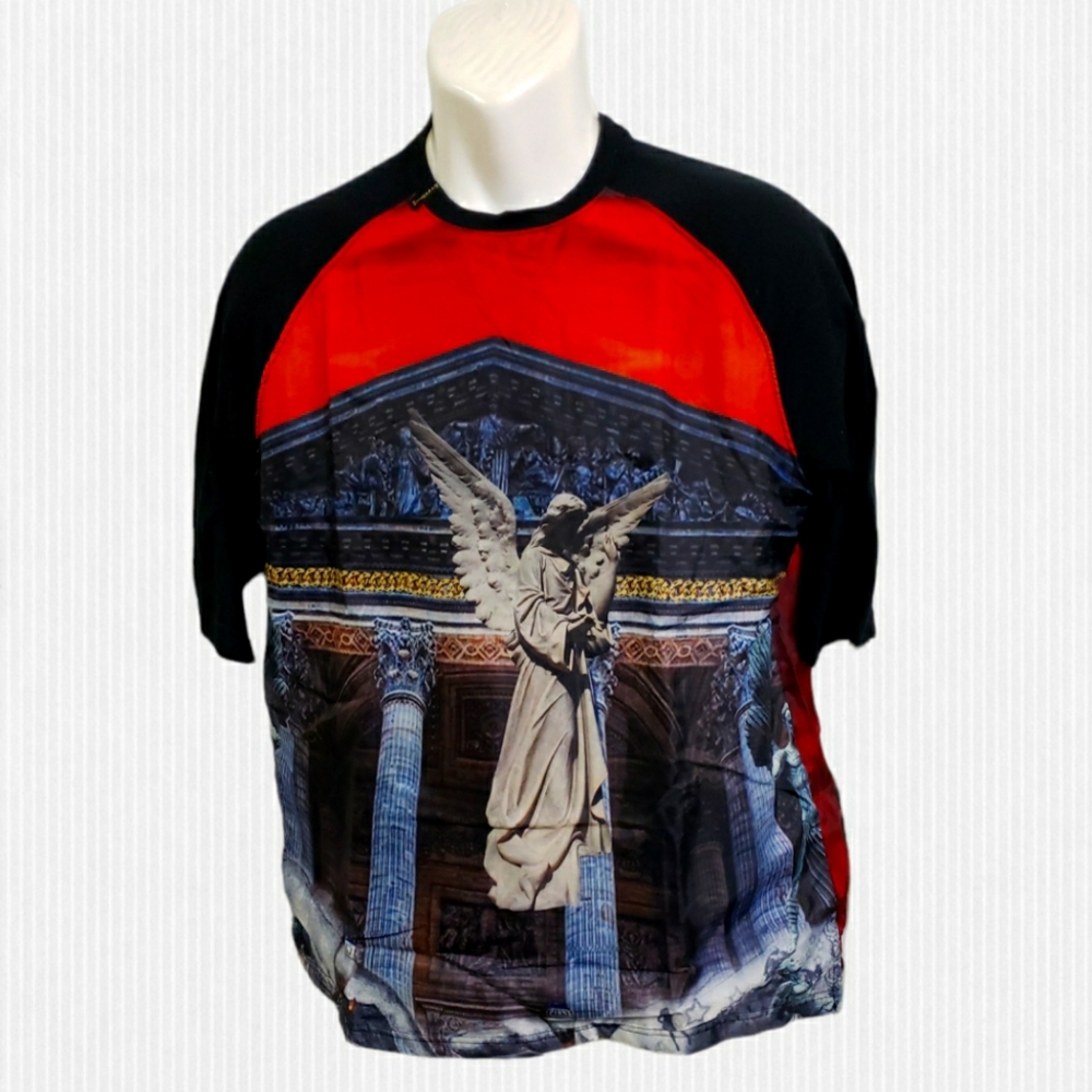 Well established Men's t-shirt graphic Large